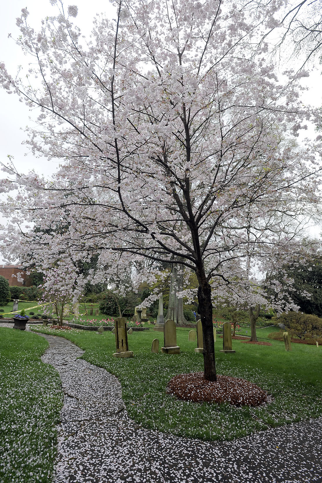 First Day of Spring